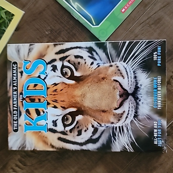 Collection of Childrens Books - Picture 9 of 12